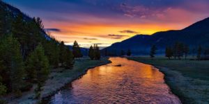 Victor Frankl's Logotherapy